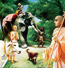 Understanding the Living Force