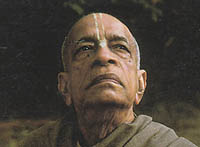 Prabhupada DVD’s Now Available