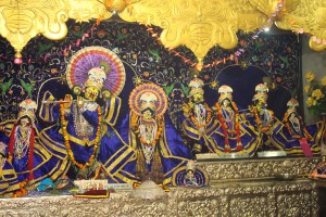 Sri Sri Radha Damodar Deities Seva Kunj Vrindavan
