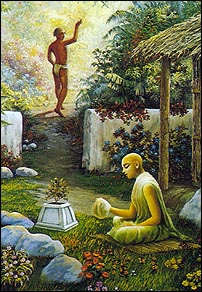 Tulasi A Amada de Krishna