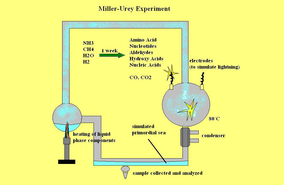Опыты миллера доказали. Эксперимент Миллера. Опыт Миллера. Miller urey Experiment. Опыт Миллера и Юри.